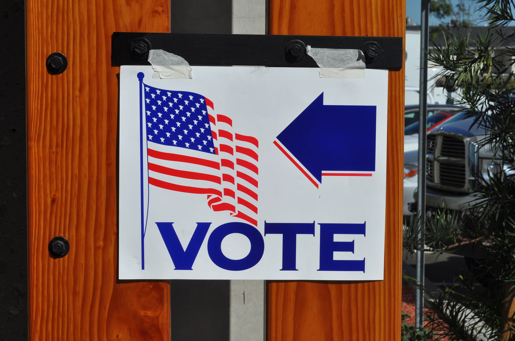 Voting-stock